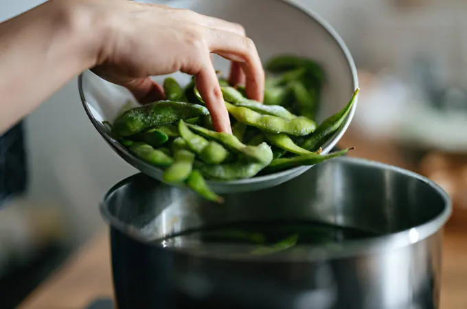 makanan penyebus